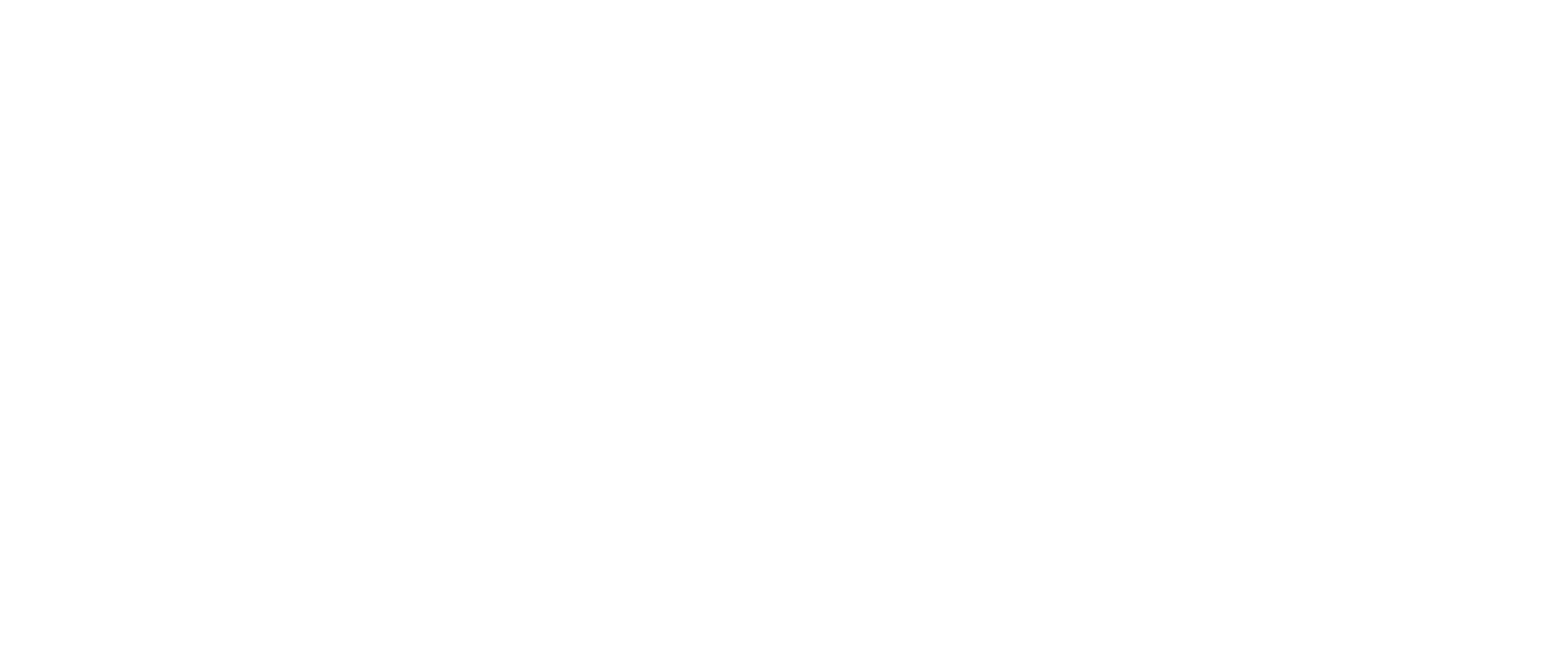 L13 Blanco